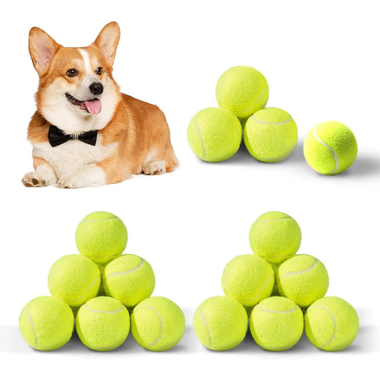 6-Piece Dog Tennis Ball Set