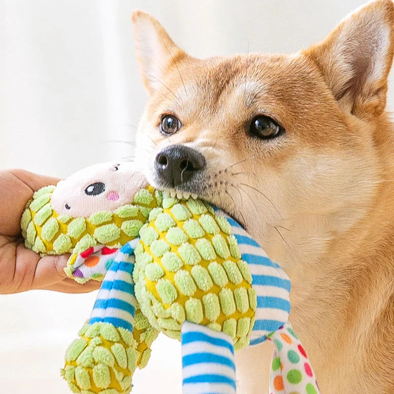 Plush Squeaky Dog Chew Toy