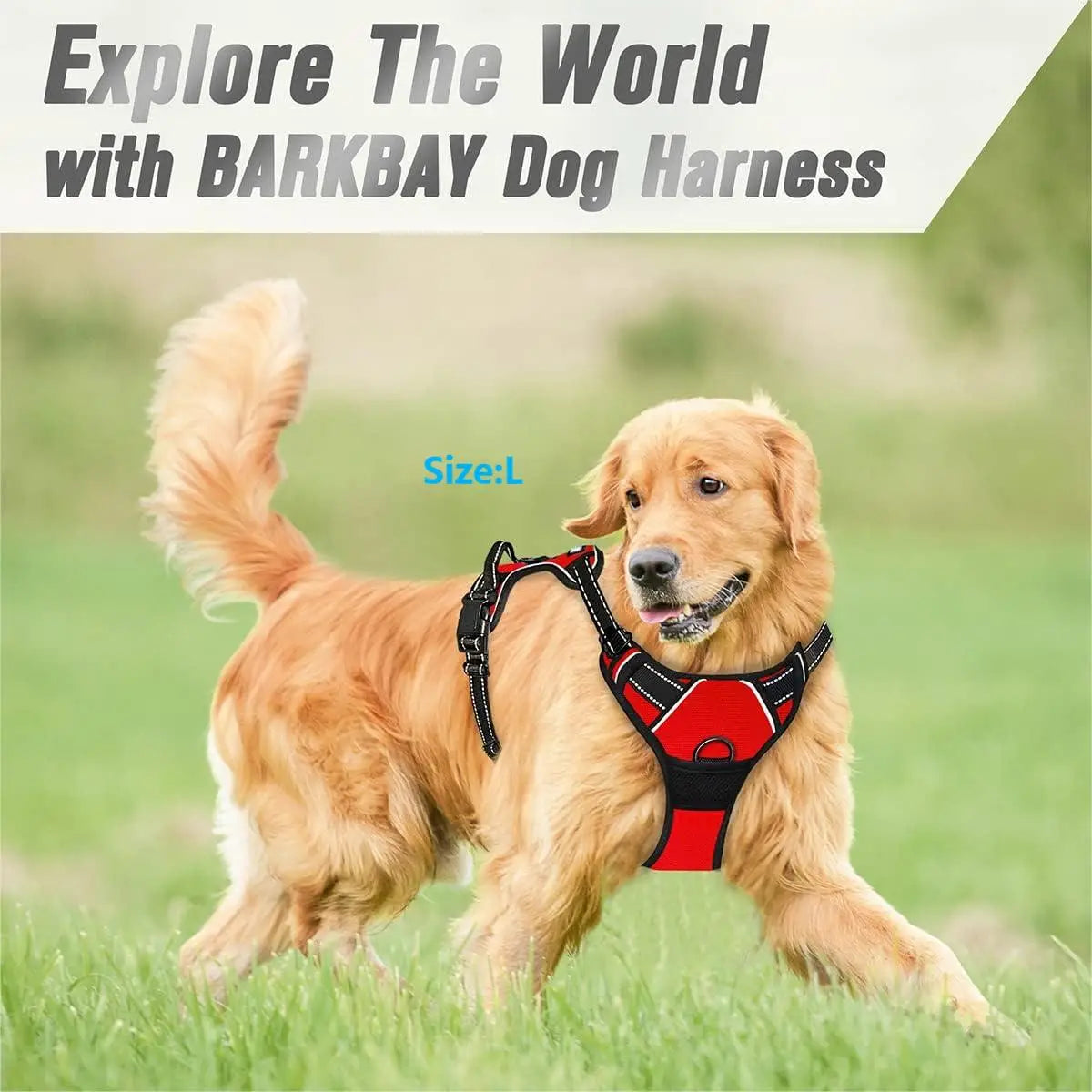 Reflective Front-Clip No-Pull Dog Harness