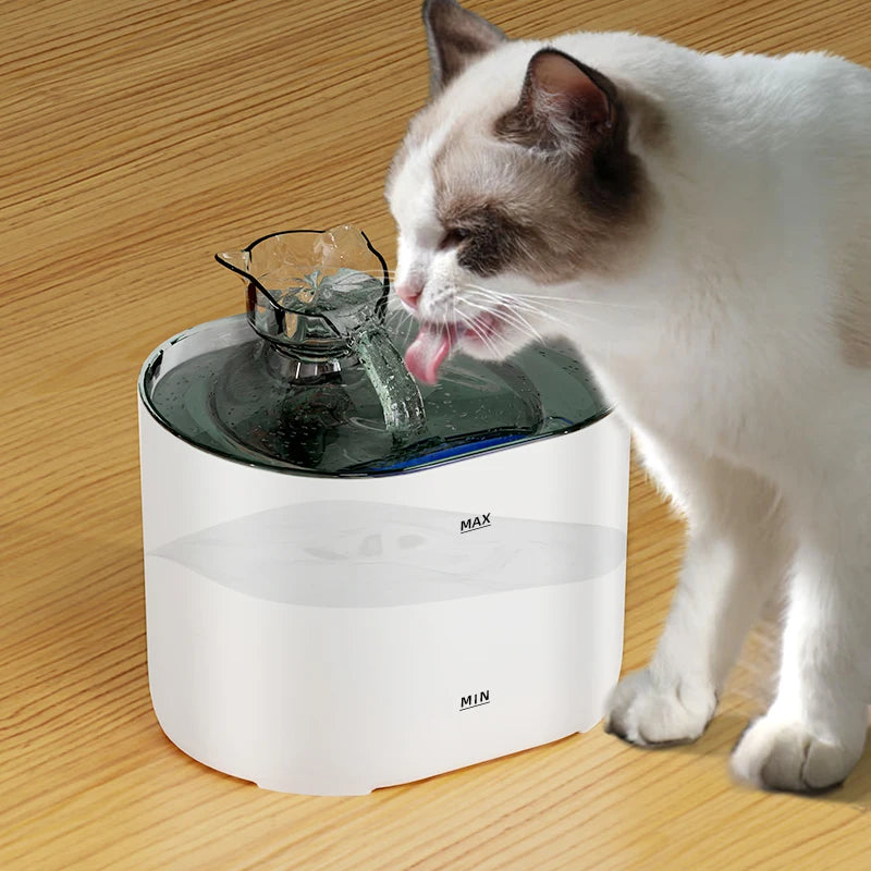 Automatic Pet Water Fountain with Filter