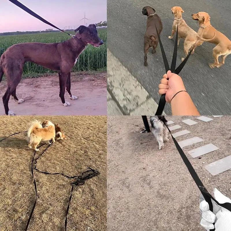 Long Training Dog Leash