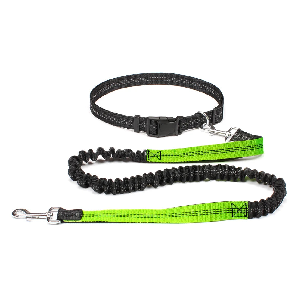 Hands-Free Adjustable Dog Leash for Walking & Running