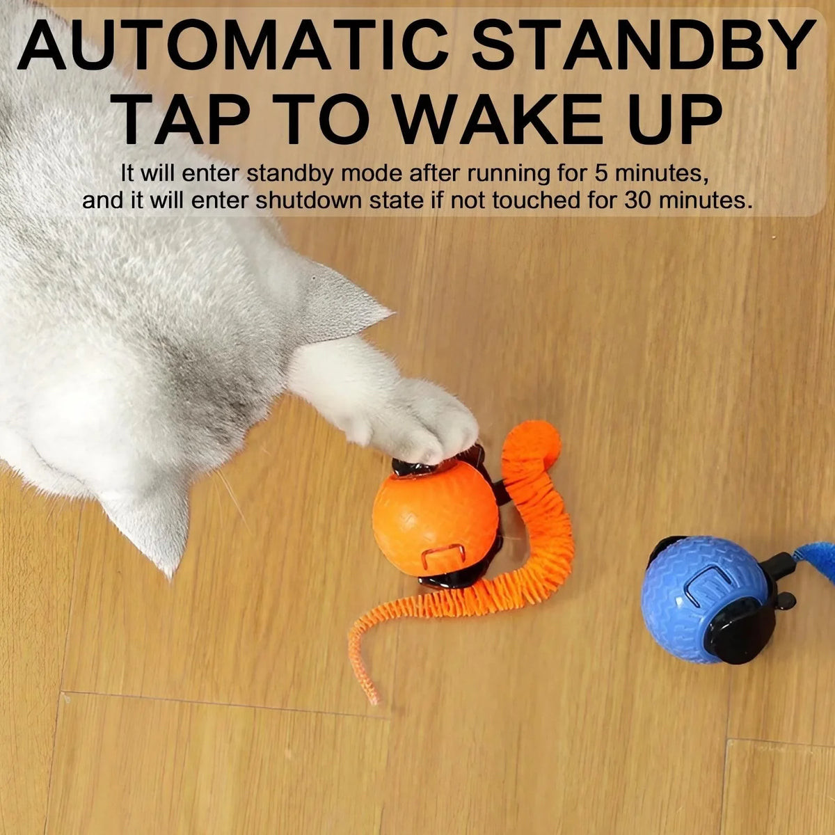 Interactive LED Cat Ball