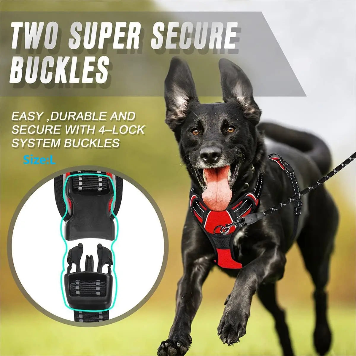 Reflective Front-Clip No-Pull Dog Harness