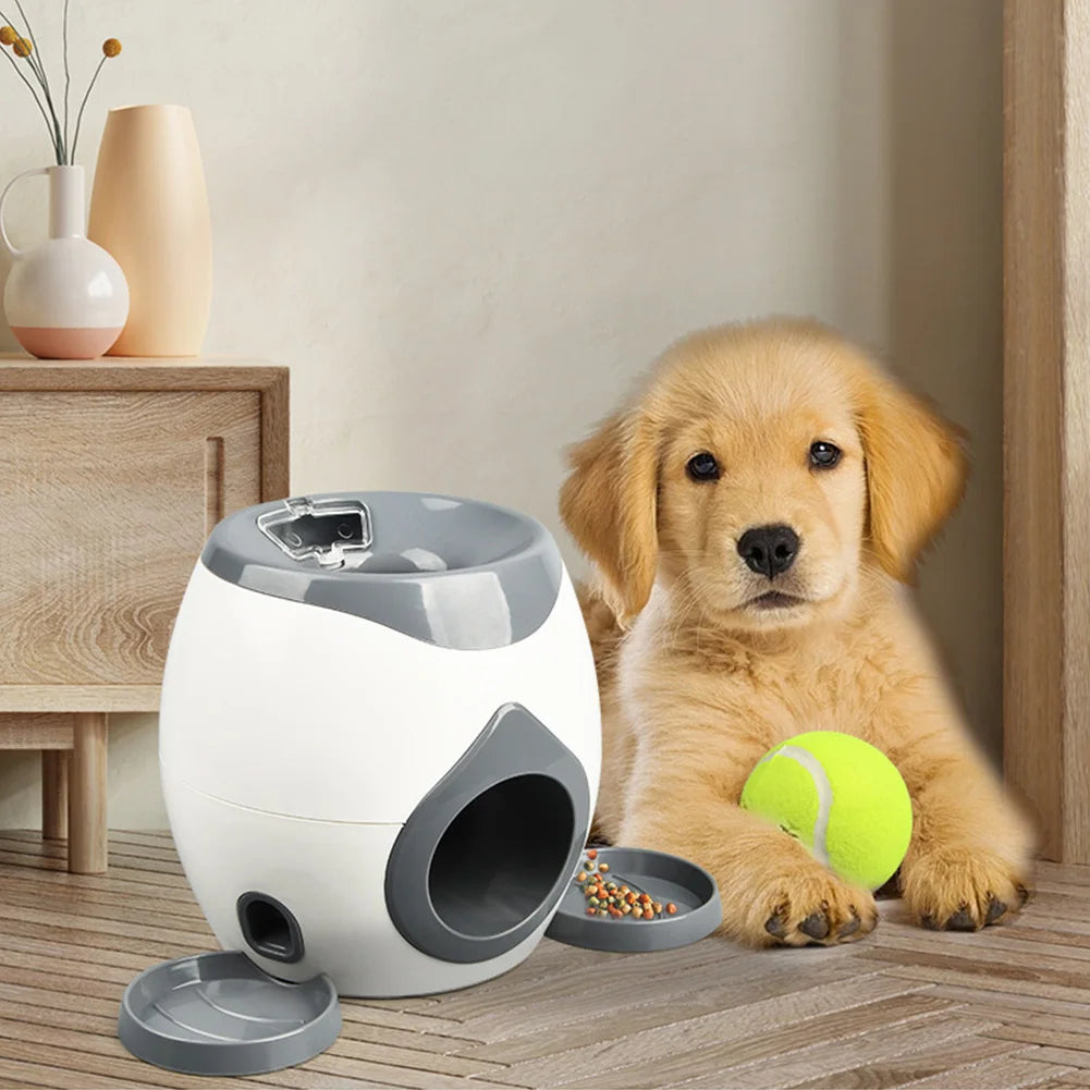 Interactive Dog Ball Launcher