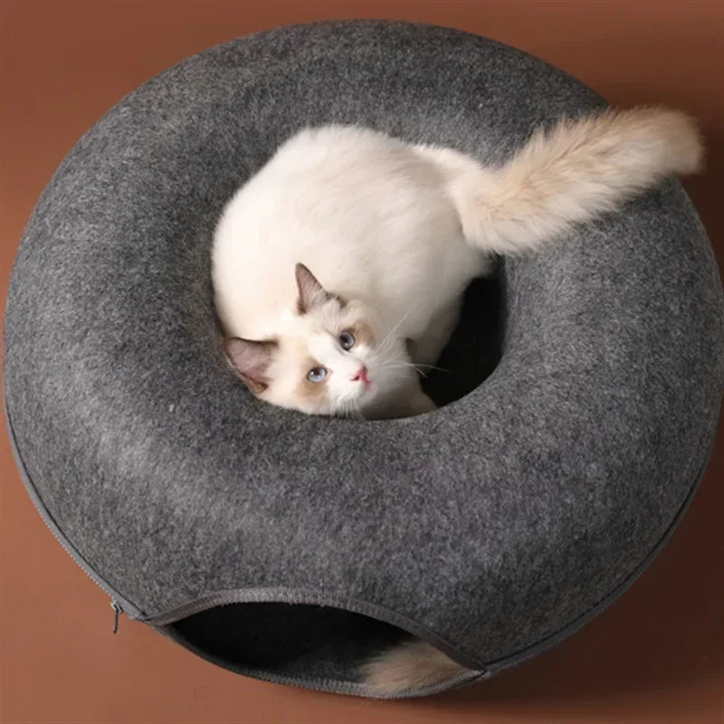 cat bed
