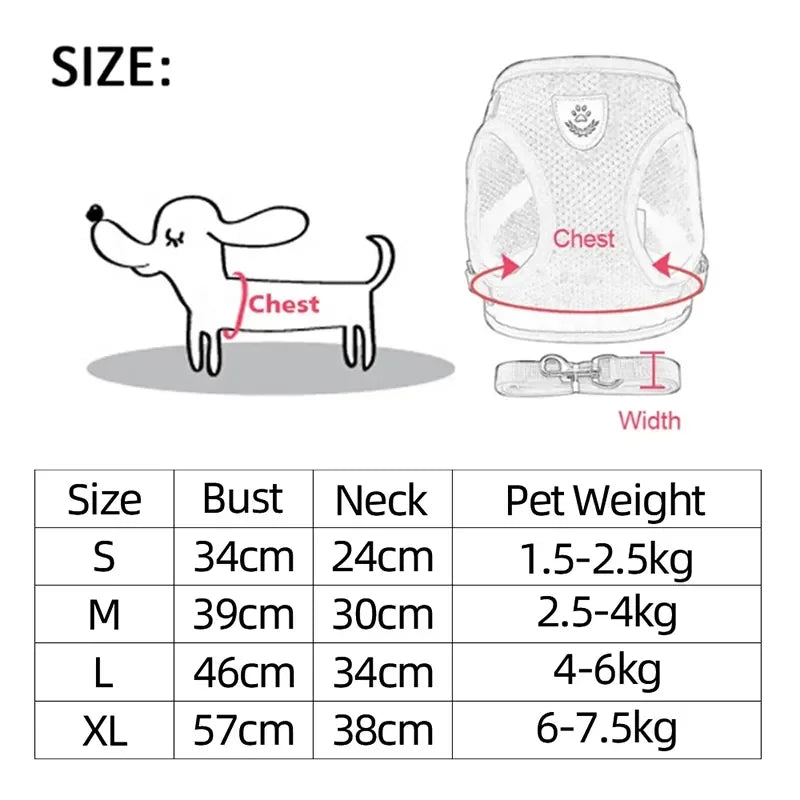 Tuig- en Riemset voor Hond en Kat