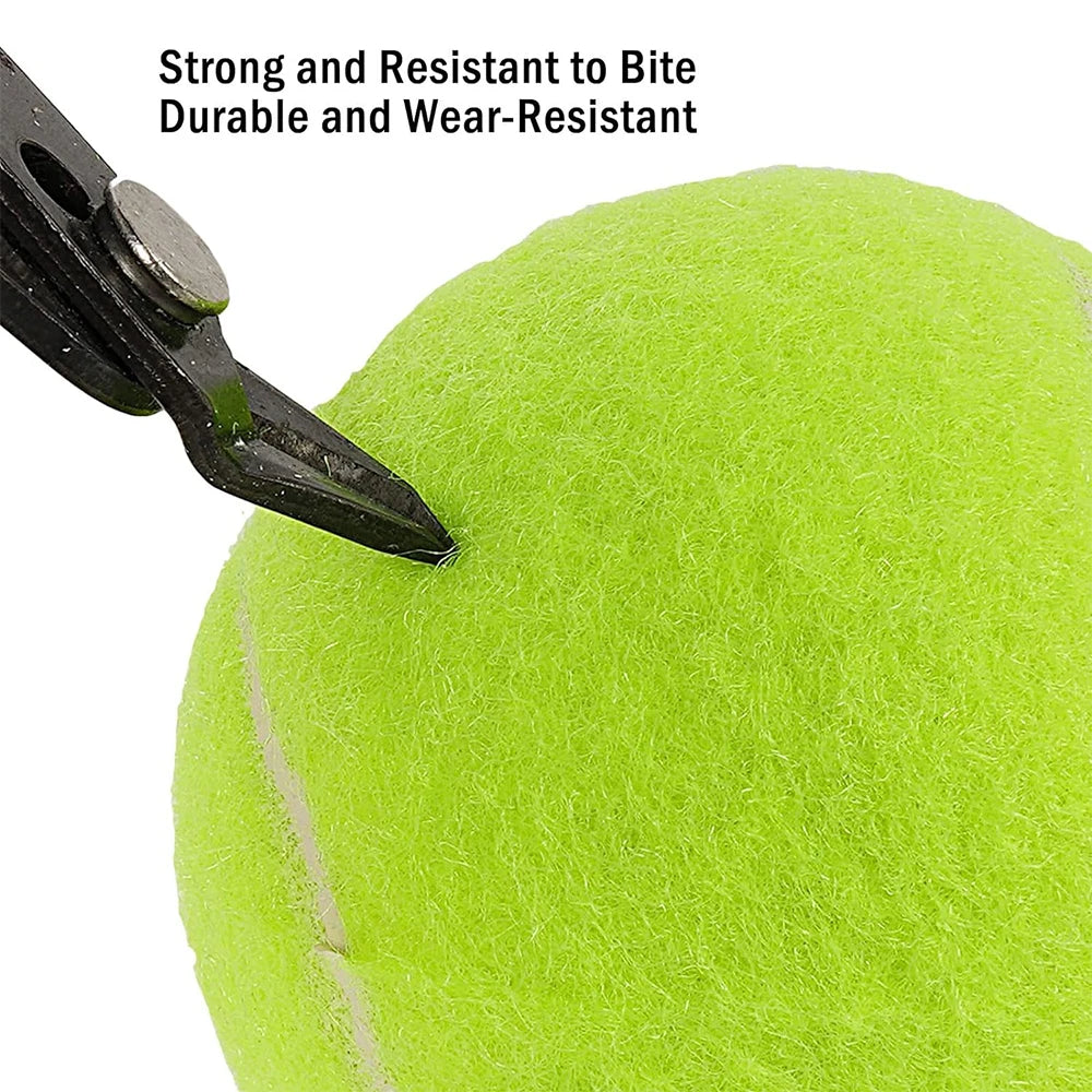 6-Piece Dog Tennis Ball Set