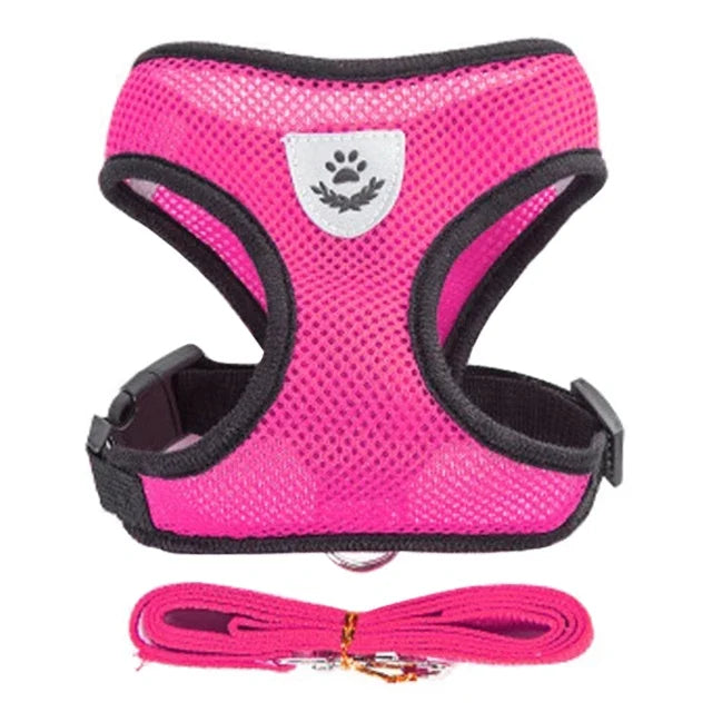 Tuig- en Riemset voor Hond en Kat