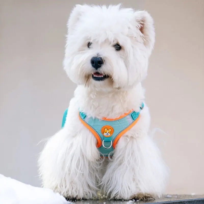 Reflective No-Pull Dog Harness