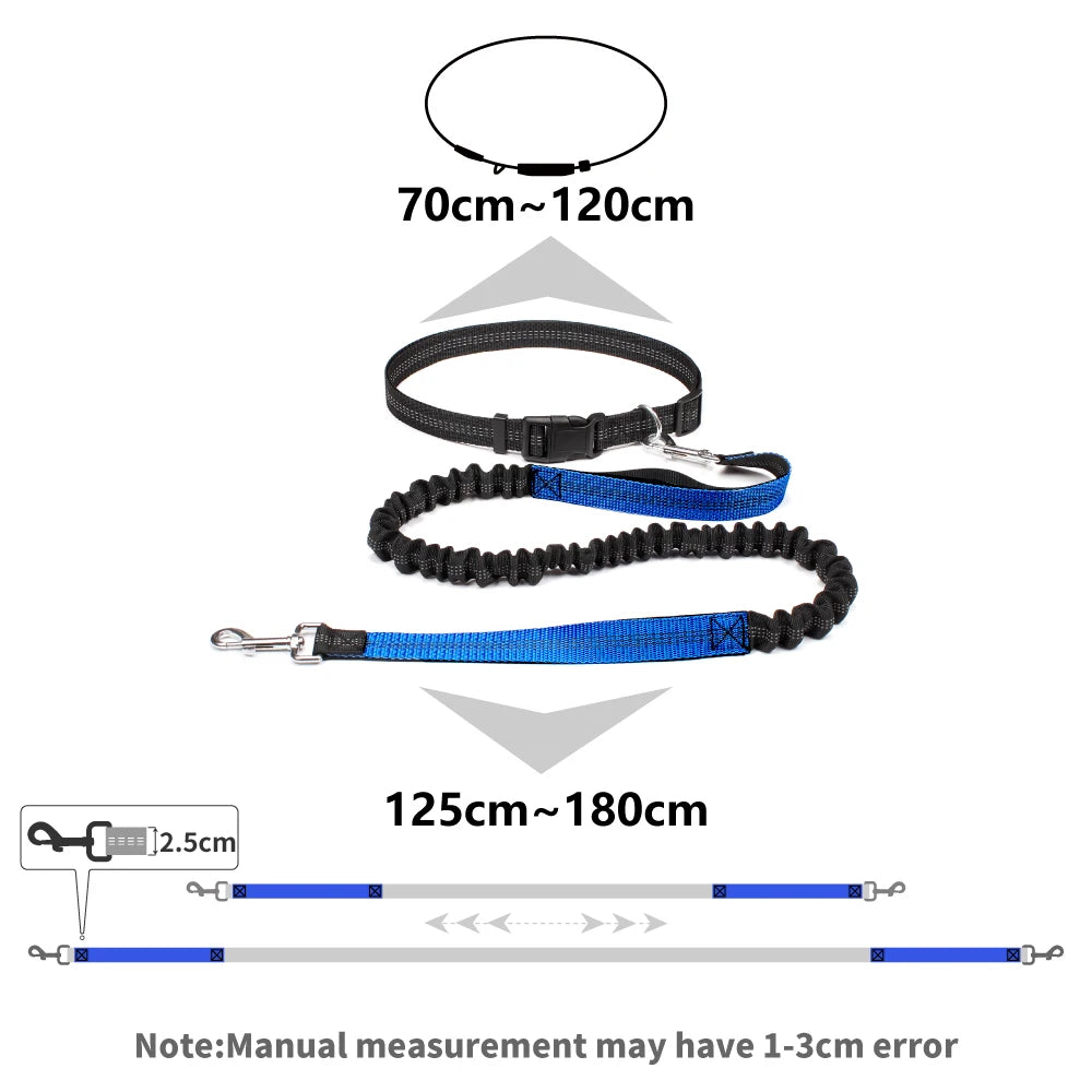 Hands-Free Adjustable Dog Leash for Walking & Running