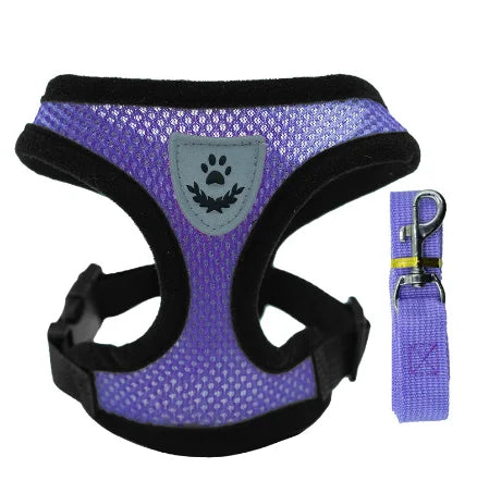 Tuig- en Riemset voor Hond en Kat