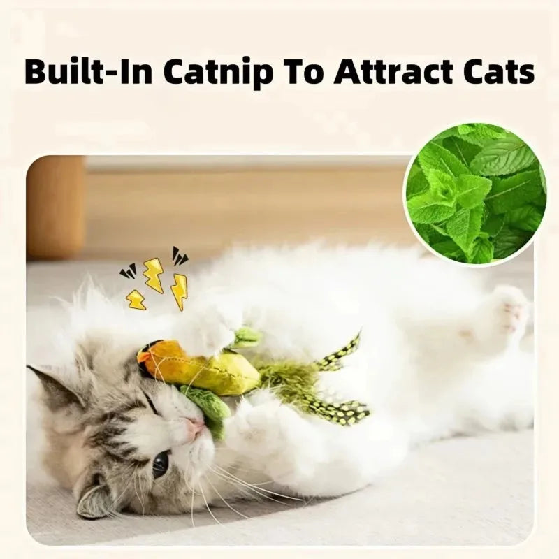 Kattenspeeltje