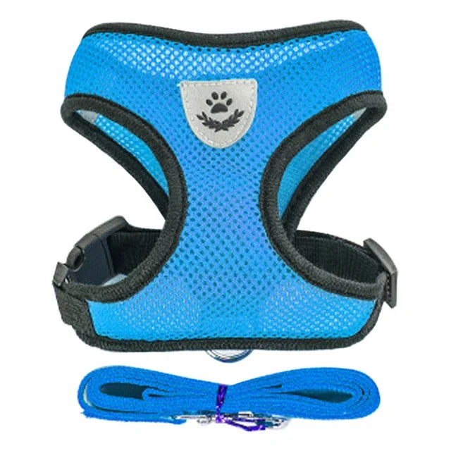 Tuig- en Riemset voor Hond en Kat