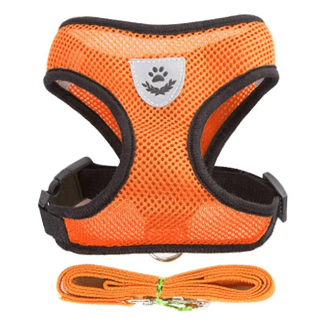Tuig- en Riemset voor Hond en Kat