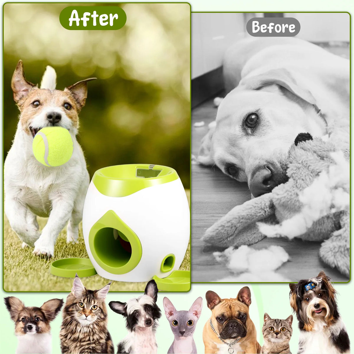Automatic Dog Ball Launcher