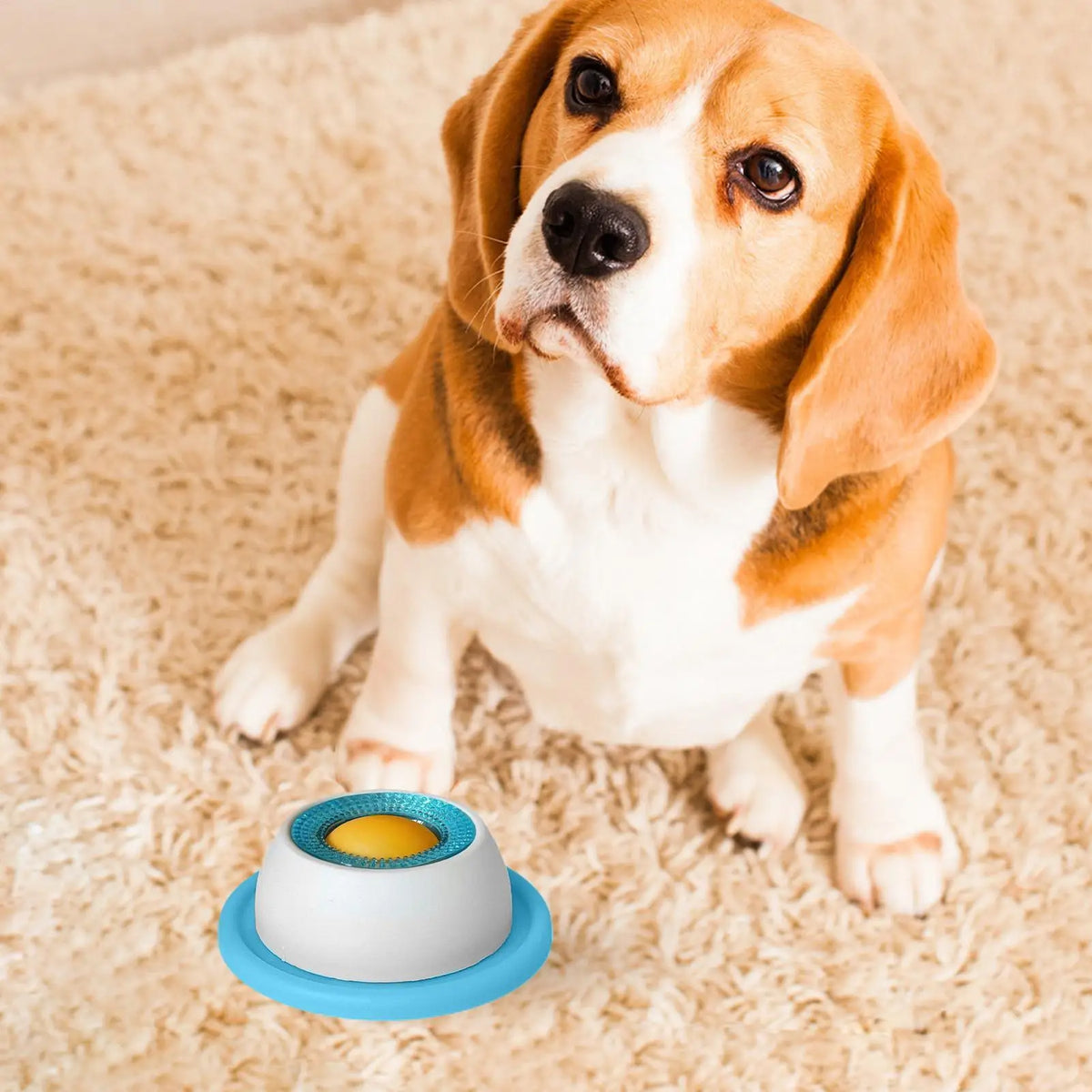 Interactive Pet Licking & Treat Puzzle Toy