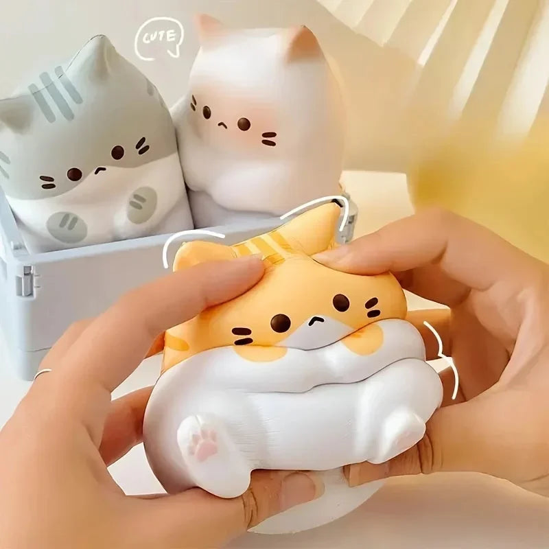 cat toy groovy day