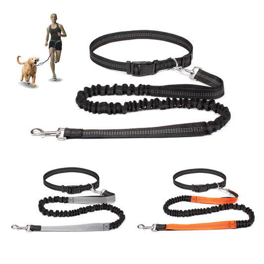 Hands-Free Adjustable Dog Leash for Walking & Running