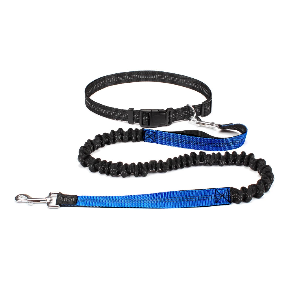 Hands-Free Adjustable Dog Leash for Walking & Running