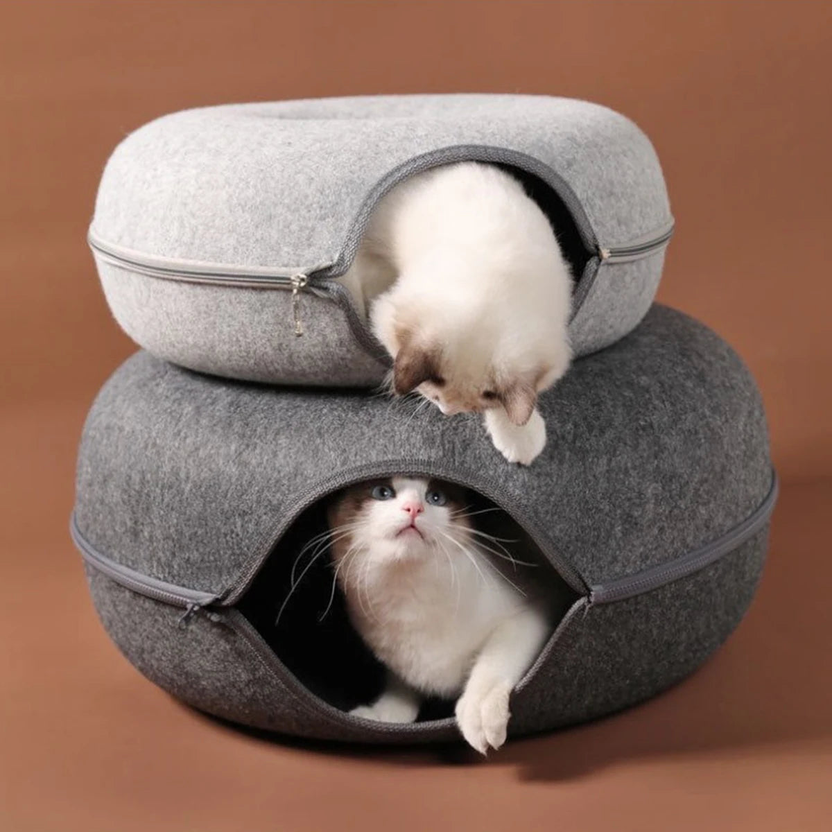 cat bed