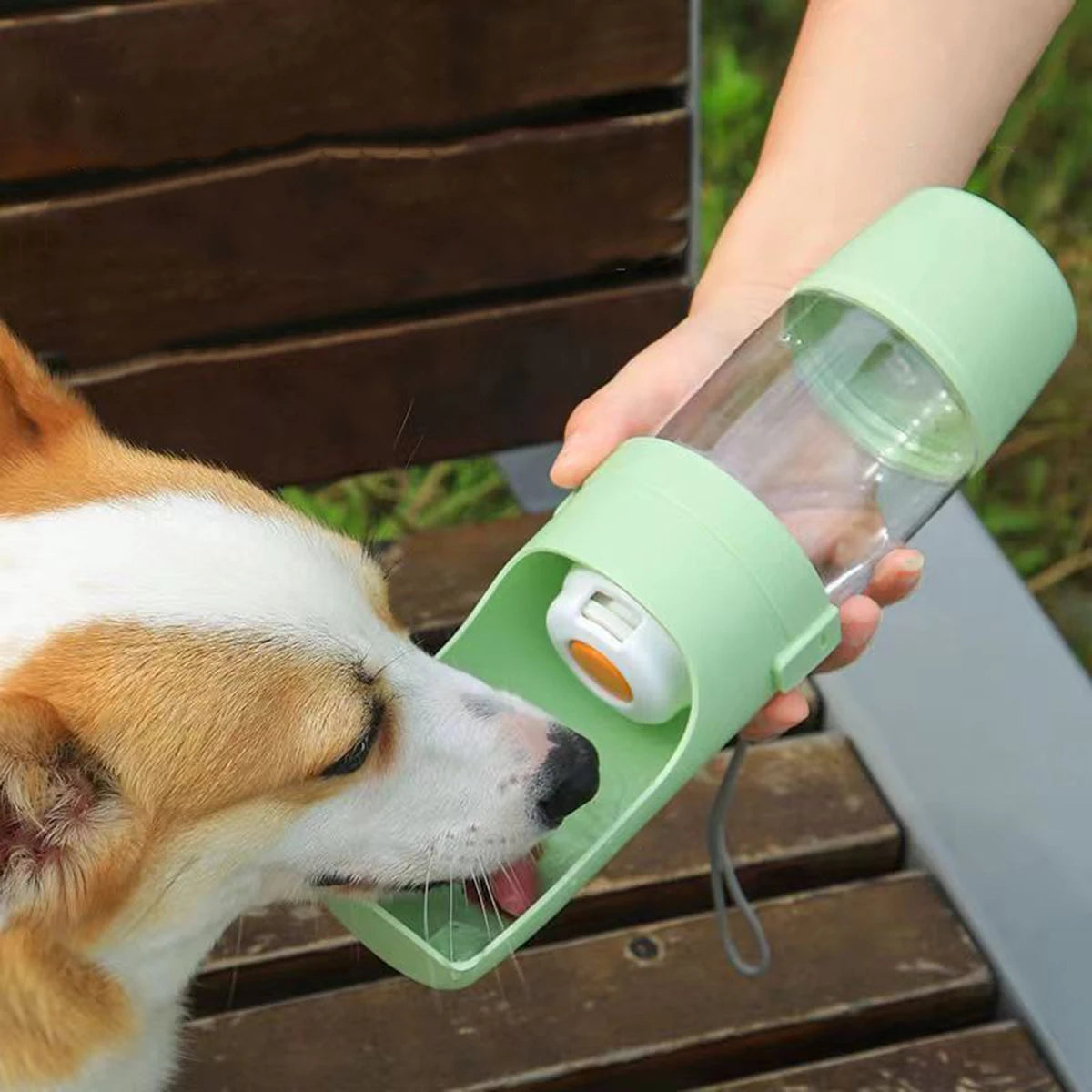 Portable Water Bottle with Storage Food and Water pet dog and cat