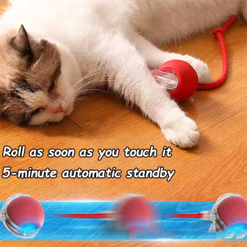 Automatic Rolling Cat Ball Toy