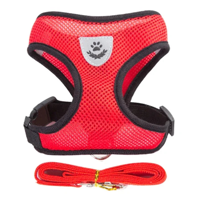 Tuig- en Riemset voor Hond en Kat