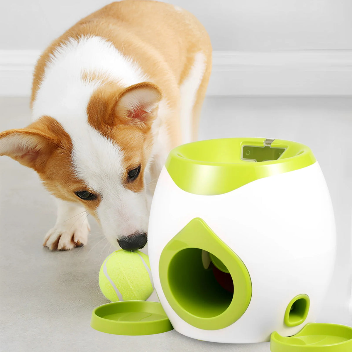 Automatic Dog Ball Launcher