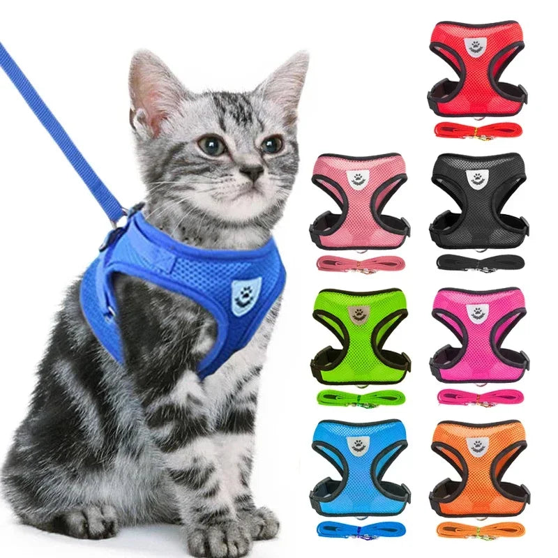 Tuig- en Riemset voor Hond en Kat