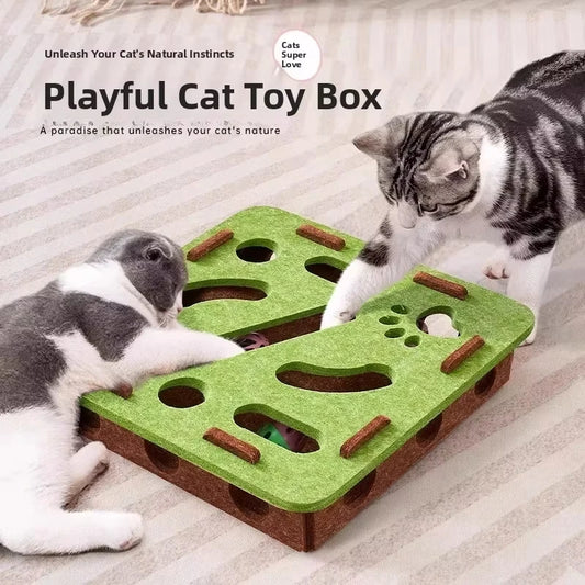 Cat Puzzle Box Toy