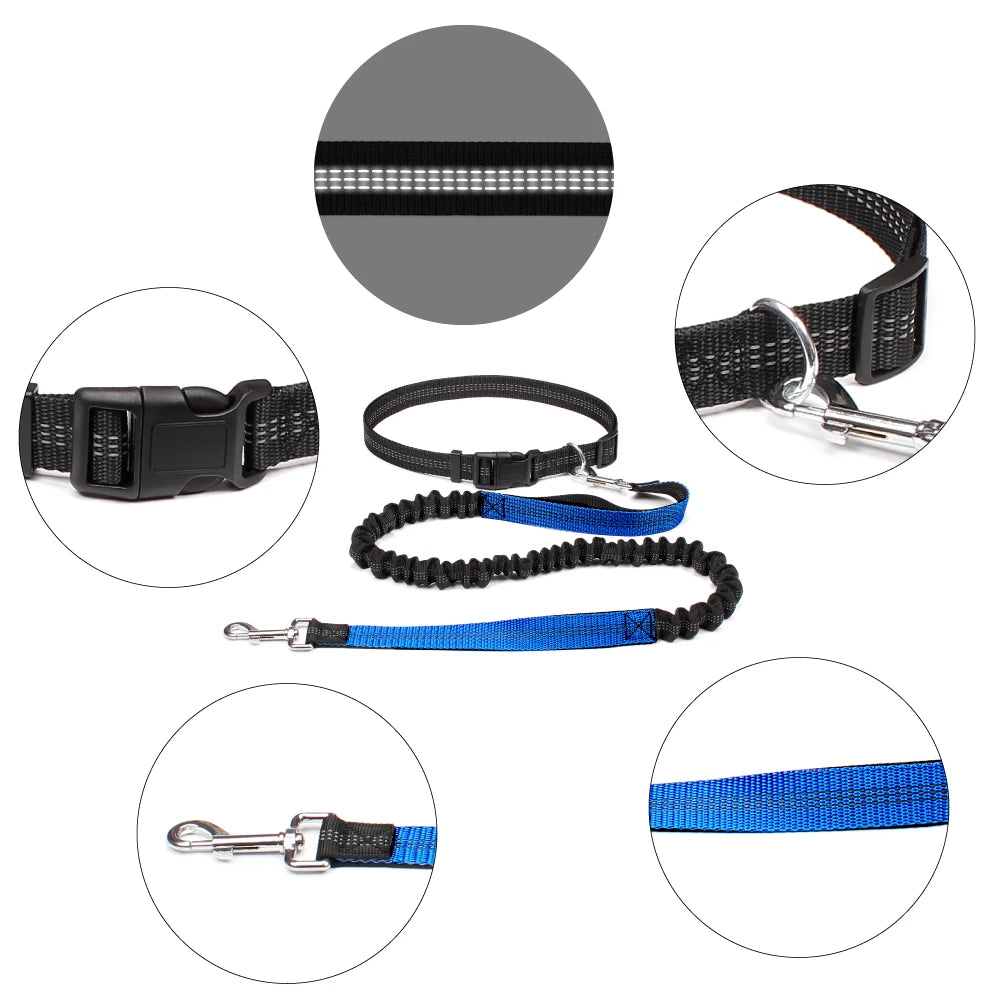 Hands-Free Adjustable Dog Leash for Walking & Running