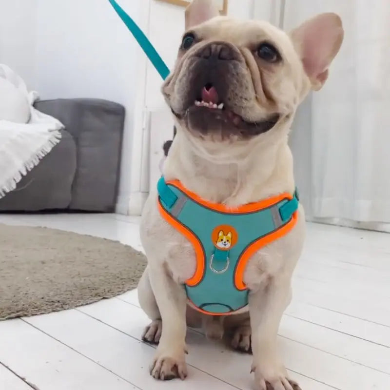 Reflective No-Pull Dog Harness