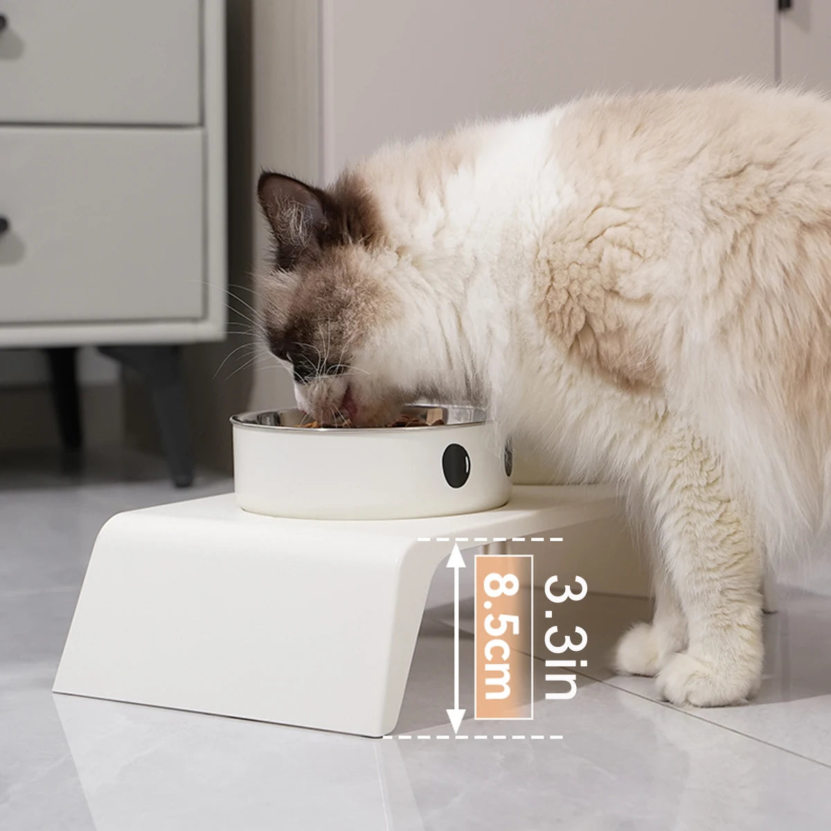 Elevated Double Pet Feeder with Stainless Steel Bowls
