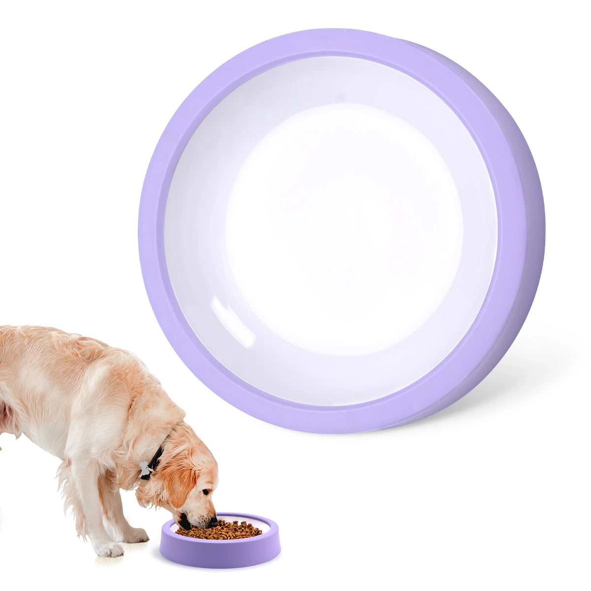 Non-Slip Slow Feeder Pet Bowl