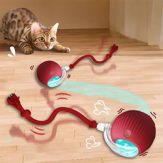 Automatic Rolling Cat Ball Toy