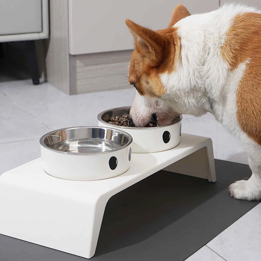 Elevated Double Pet Feeder with Stainless Steel Bowls
