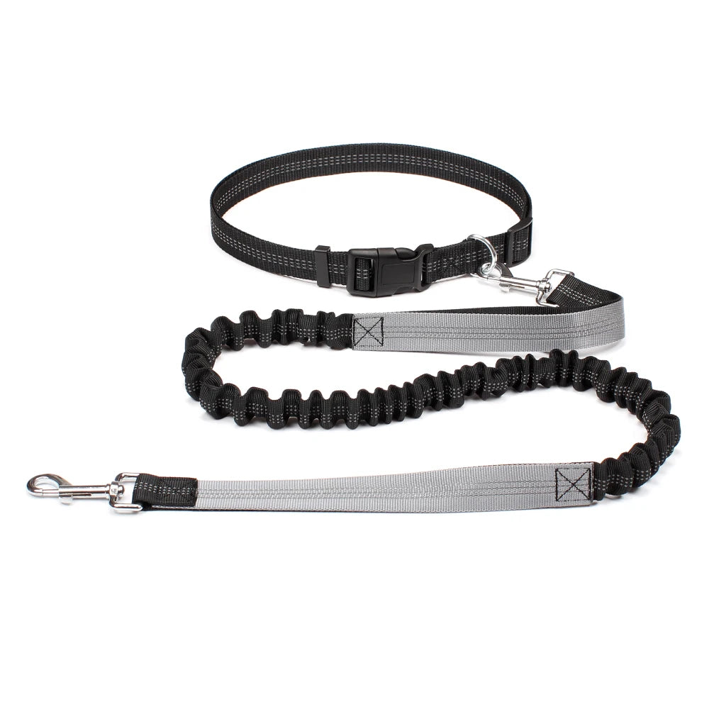 Hands-Free Adjustable Dog Leash for Walking & Running