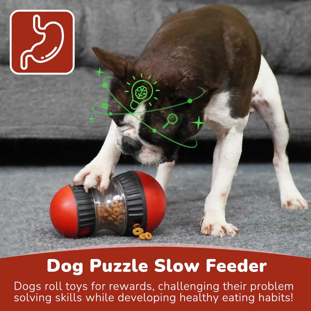 Rolling Dog Puzzle Food Dispenser Toy