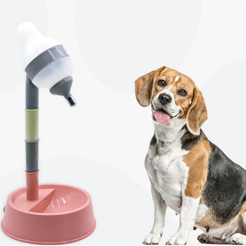 Height-Adjustable Pet Water Dispenser