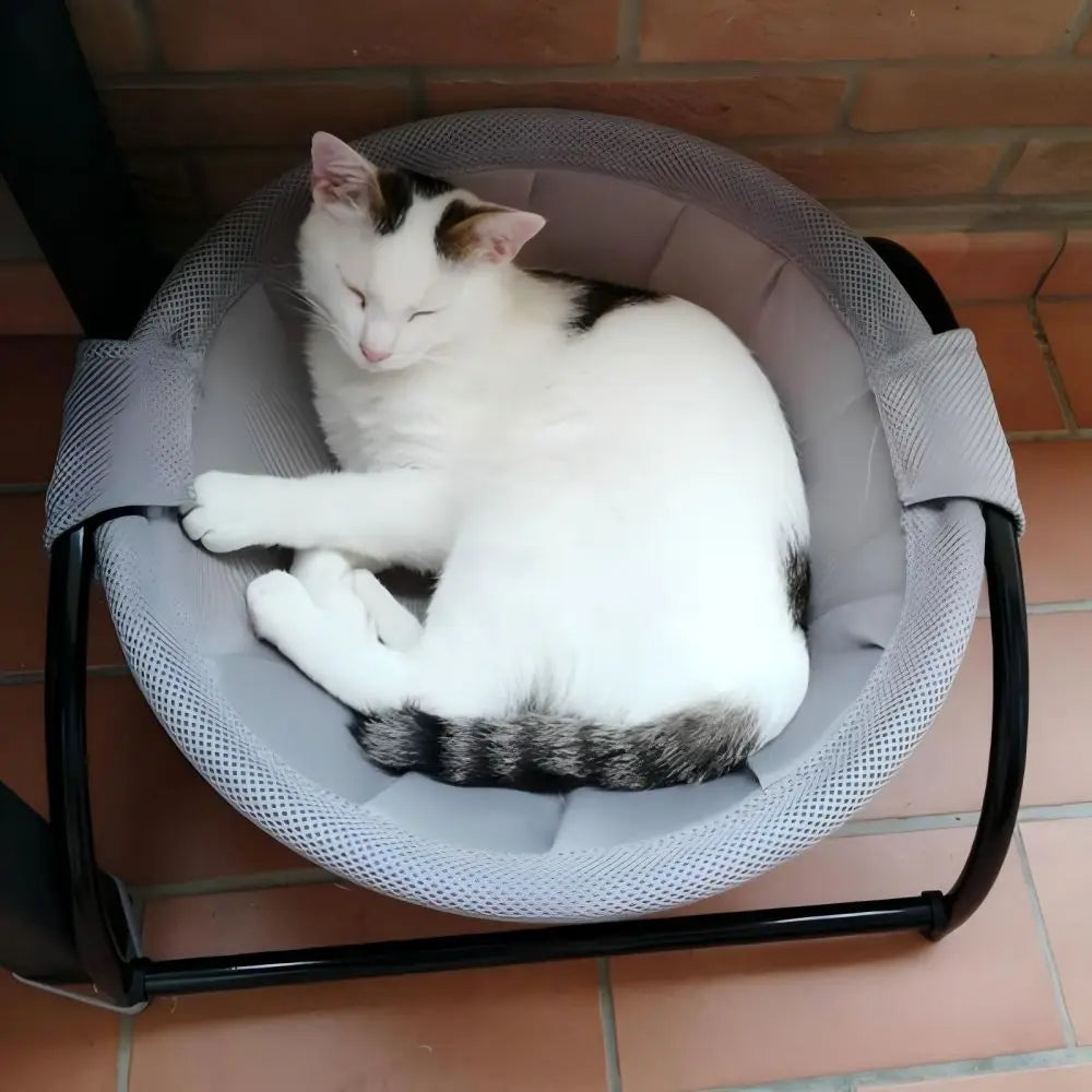 Elevated Breathable Pet Bed