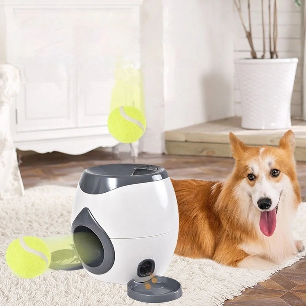 Interactive Dog Ball Launcher
