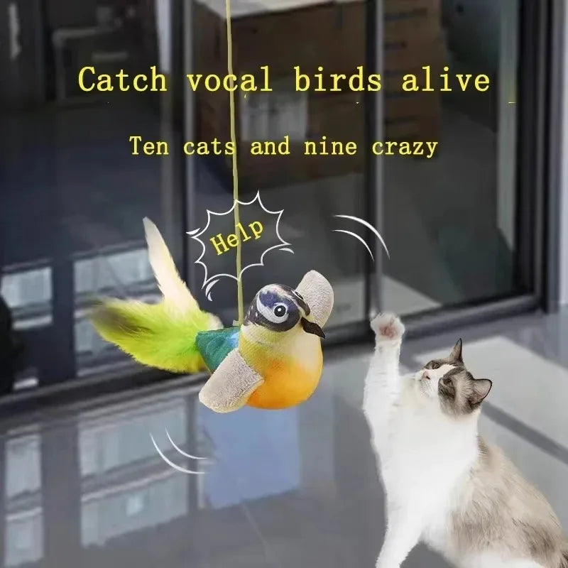 Kattenspeeltje