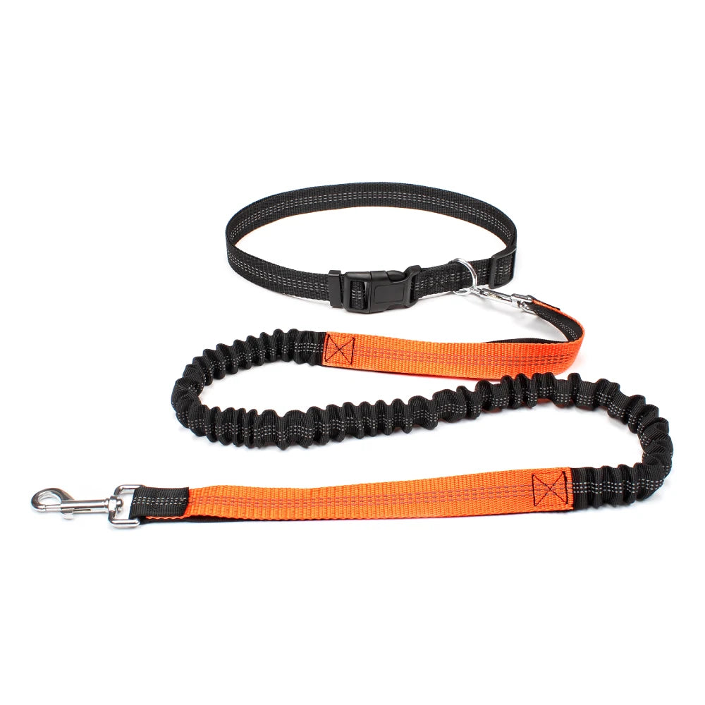 Hands-Free Adjustable Dog Leash for Walking & Running