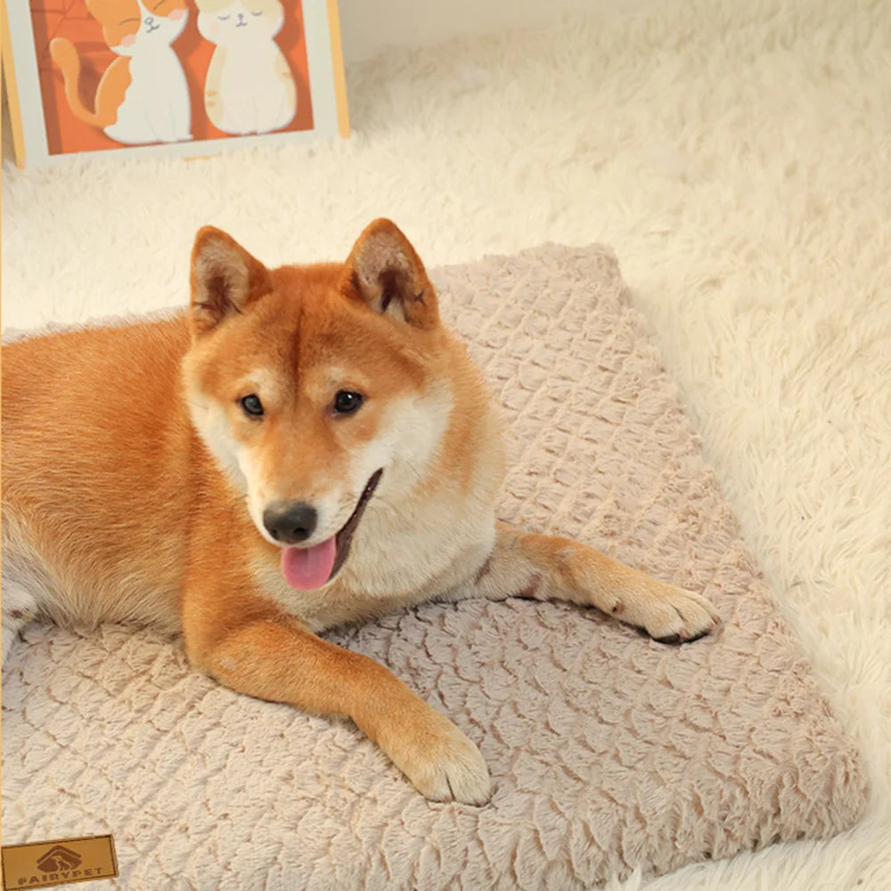 Orthopedic Memory Foam Pet Bed