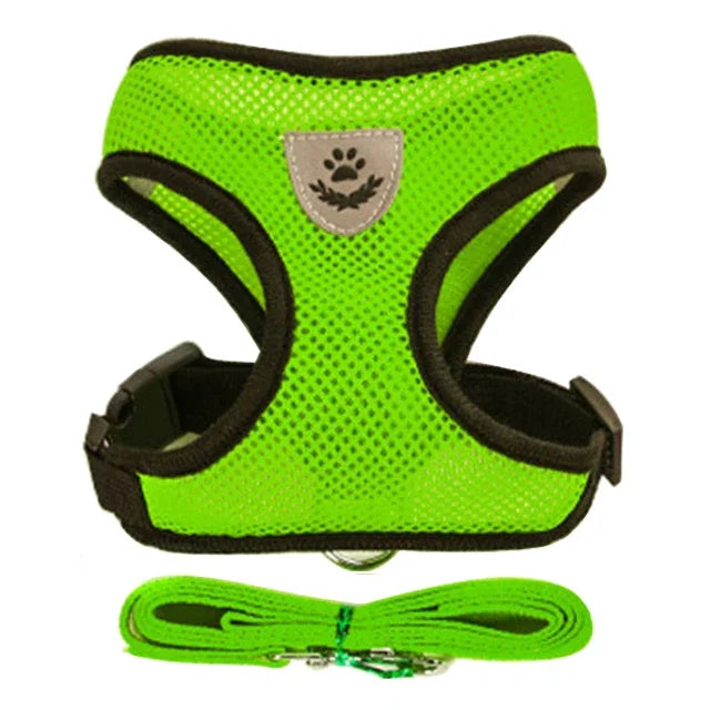 Tuig- en Riemset voor Hond en Kat