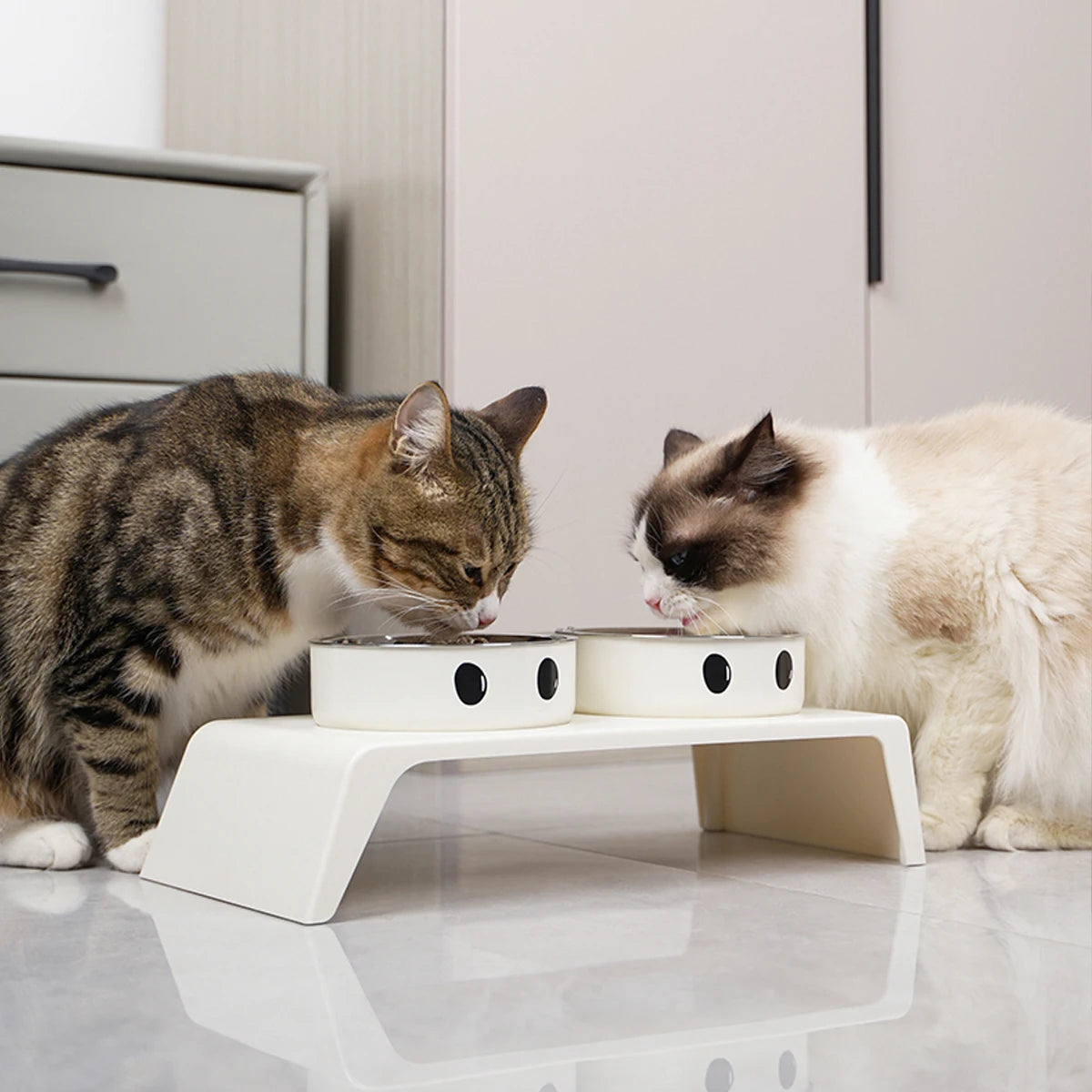 Elevated Double Pet Feeder with Stainless Steel Bowls