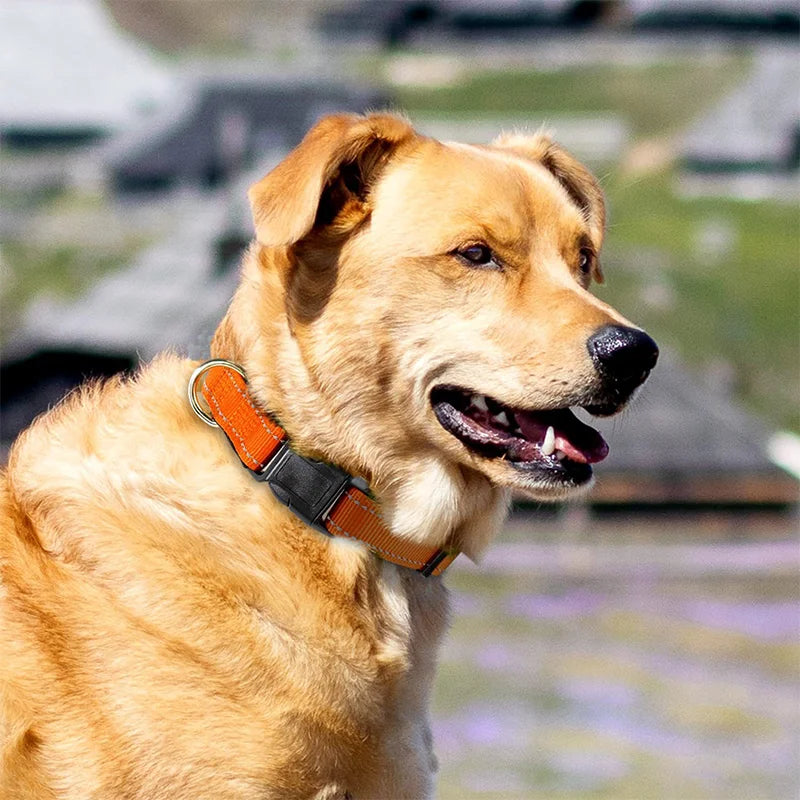 Reflective Adjustable Pet Collar