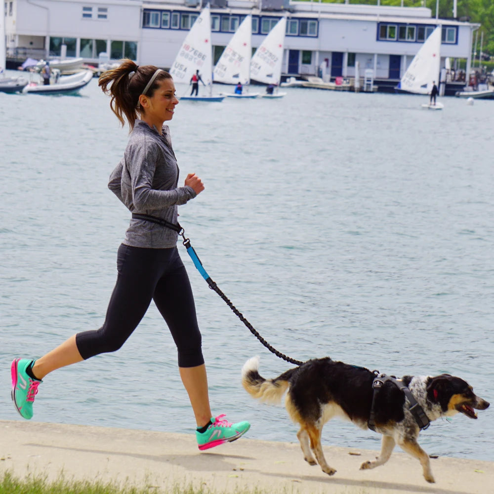Hands-Free Adjustable Dog Leash for Walking & Running