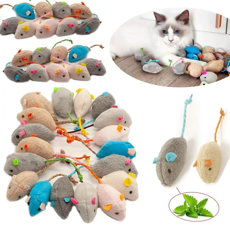 Catnip Mouse Toy Set